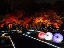 花嫁のれん 庭 灯篭 山 松 雅な世界観満喫旅～花嫁のれん～｜森川 あやこ