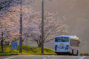 【週末イベントまとめ：3/27（金）～3/29（日）】愛媛で遊ぶ週末プラン：伊予のバスケ応援から野福峠の桜まで一気にチェック！