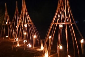 【川の郷ほたるまつり 愛媛/松山市】 ほたるの光と竹灯籠の灯りのコラボレーション