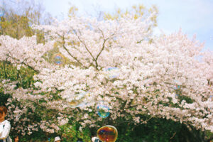 【週末イベントまとめ：4/10（金）～4/12（日）】グルメ・体験・音楽まで！今週末おすすめイベント完全ガイド