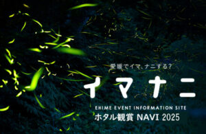 【2025年版】愛媛のホタル観賞スポット＆ほたる祭り｜見頃やアクセス情報もご紹介！