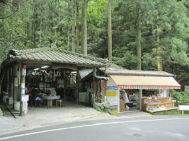 【観音水そうめん流し名水亭 愛媛/西予市】 名水百選で絶品そうめんを味わおう【2025年】