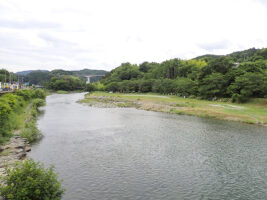 【知清河原 川遊び 愛媛/内子町】 子どもも安心! 浅瀬で遊べるおすすめの川