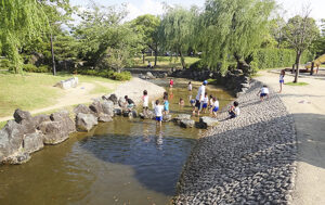 2025年愛媛の川遊びスポット｜杖ノ淵公園（松山市）伝説の湧水でひと時の清涼を