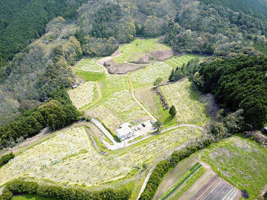 幸野観光なし園