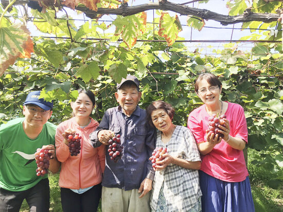 戸田果樹園 ぶどう狩り