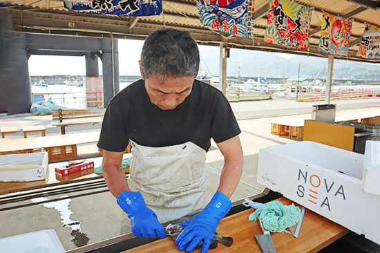 宮窪の漁師市