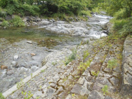 2025年愛媛の川遊びスポット｜なめがわ清流の森 （東温市滑川キャンプ場）川遊び、バーベキュー、星空観測など多彩なアクテビティを満喫しよう!