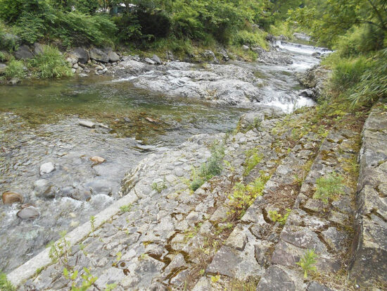 なめがわ清流の森（滑川キャンプ場）