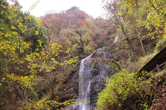 白猪の滝 紅葉狩り