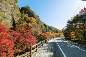 【古岩屋 紅葉狩り 愛媛/久万高原町】 奇岩群と紅葉が織り成す壮大な秋景色