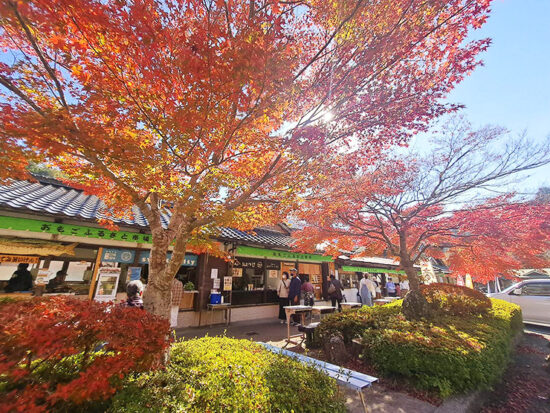 おもごふるさとの駅 紅葉狩り