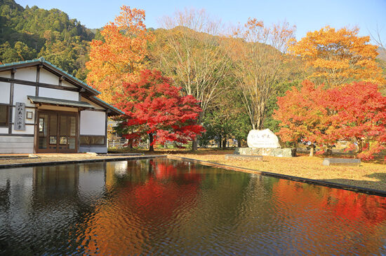 金砂湖畔公園 紅葉狩り