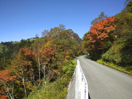 【瓶ヶ森紅葉狩り 愛媛/西条市・高知/いの町】 標高1,700ｍ付近の紅葉と山頂から見下ろす景色を存分に堪能しよう!