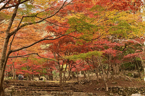 滑床渓谷 紅葉狩り