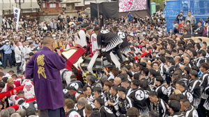 【松山道後秋祭り2025 愛媛/松山市】 大迫力の鉢合わせ！ 熱気溢れる道後を体感！