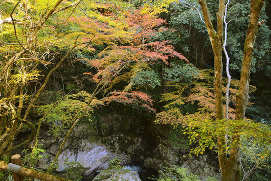 仙波渓谷 紅葉狩り