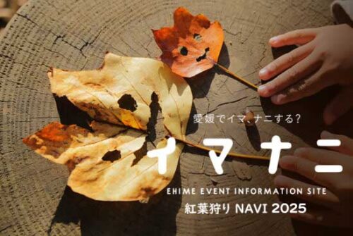 愛媛県 紅葉狩りNAVI 2025 大自然に包まれ秋を満喫！