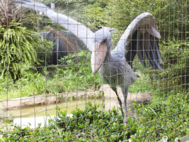 高知県立のいち動物公園で癒しのひととき 【高知/香南市】