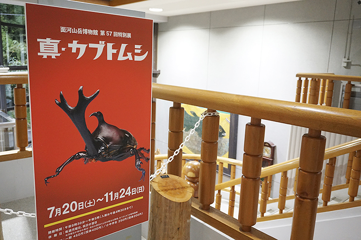 面河山岳博物館 第57回特別展 「真・カブトムシ」 に行ってきた