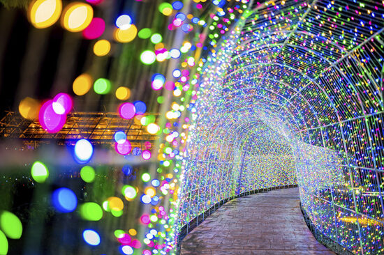 タオル美術館3D Projection Mapping and Illumination