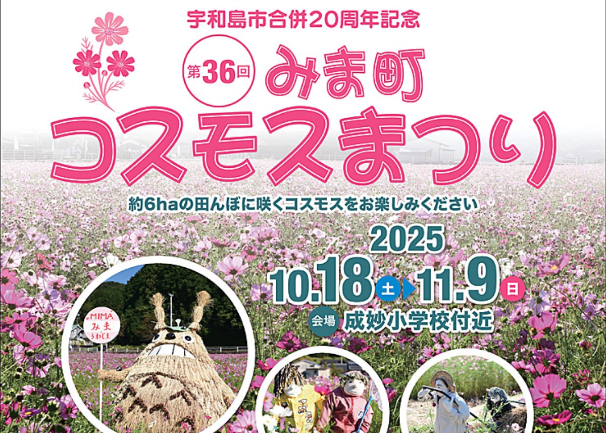 第36回みま町コスモスまつり 愛媛/宇和島市】 500万本のコスモスが