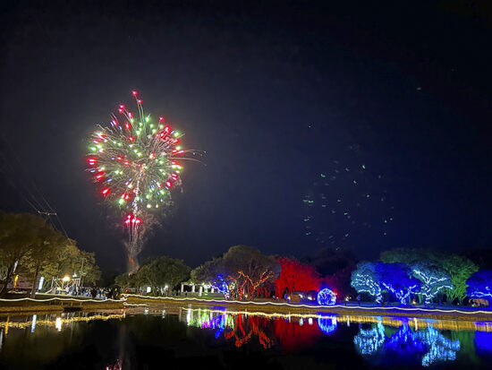 須ノ川公園まつりイルミネーションパーク