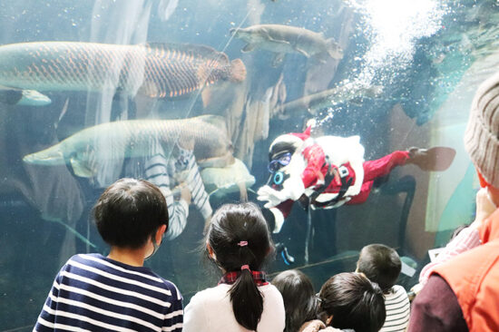 虹の森公園おさかな館クリスマスイベント