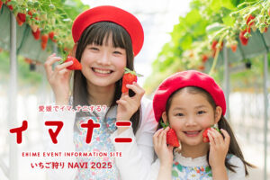 愛媛県 いちご狩りNAVI 2025 旬な季節、瑞々しい食感を満喫！