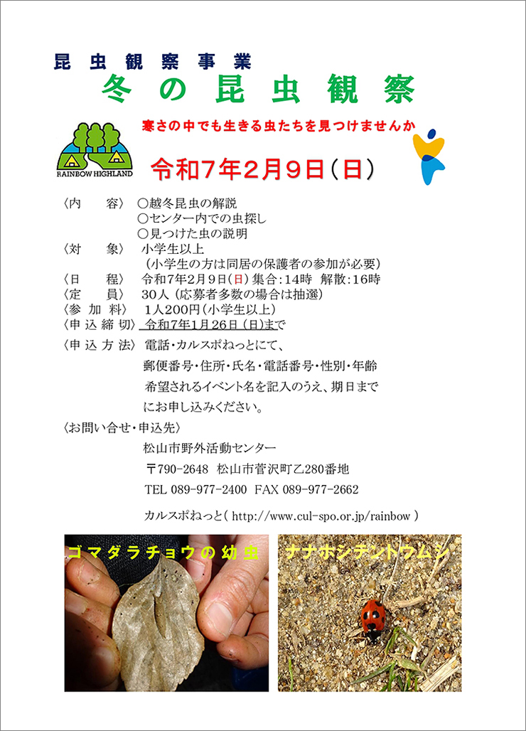 【昆虫観察事業 「冬の昆虫観察」 愛媛/松山市】 松山市野外活動センターで虫のプロと昆虫探しを楽しもう