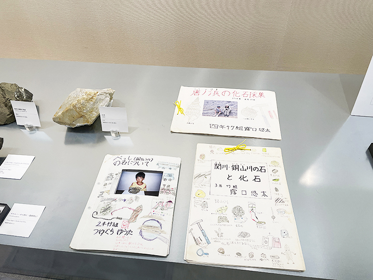 企画展 「石のワンダー」 で出会う神秘の世界 【愛媛/新居浜市】