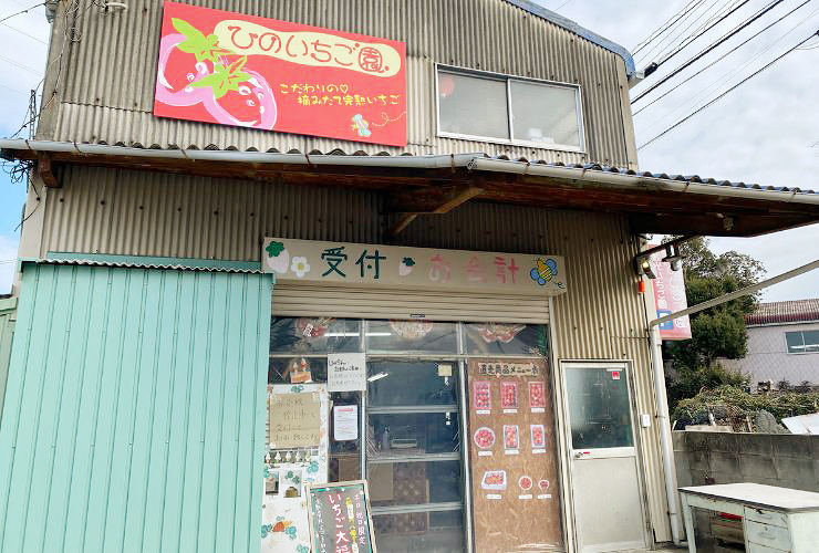 ついにシーズン到来！ ひのいちご園で苺を思う存分食べつくしてきました♪ 【愛媛/西条市】