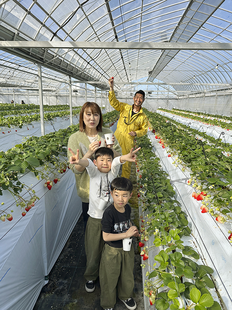 【まんまイチゴ園 いちご狩り 愛媛/松前町】 松前町の綺麗な地下水で育った9品種のいちごを食べ比べ