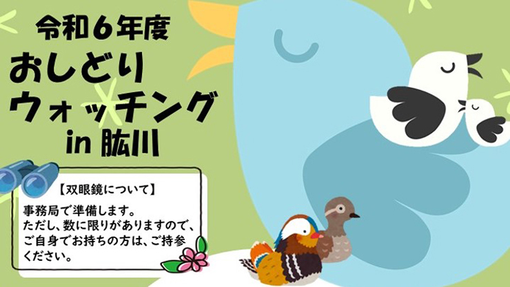 【令和6年度 おしどりウォッチングin肱川 愛媛/大洲市】 美しいおしどりたちが待つ肱川の湖へ出かけよう！