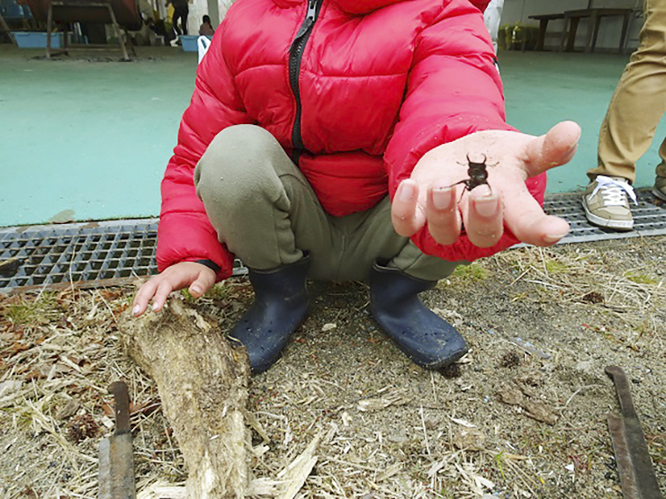 【昆虫観察事業 「冬の昆虫観察」 愛媛/松山市】 松山市野外活動センターで虫のプロと昆虫探しを楽しもう