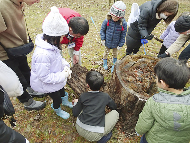 【昆虫観察事業 「冬の昆虫観察」 愛媛/松山市】 松山市野外活動センターで虫のプロと昆虫探しを楽しもう