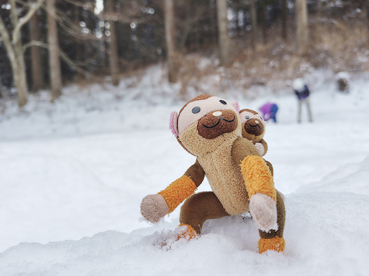 真冬の上林森林公園で雪遊び 【愛媛/東温市】