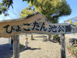 ひょこたん池公園で過ごすまったりゆったり癒し時間 【愛媛/松前町】