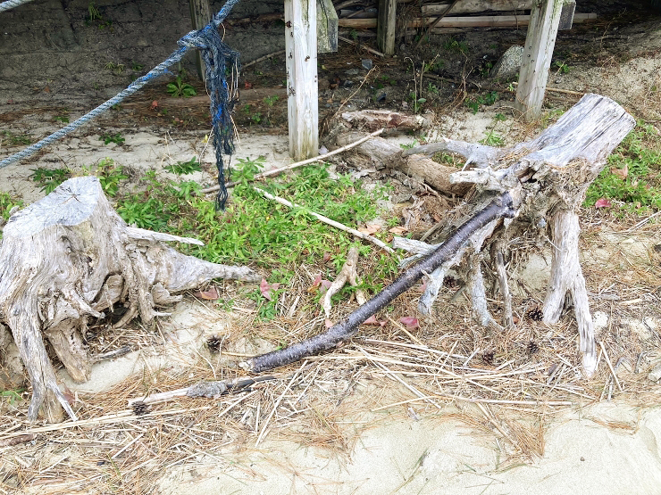 星の神の天降り先は見どころだらけ！ 星の浦海浜公園に行ってきました！ 【愛媛/今治市】