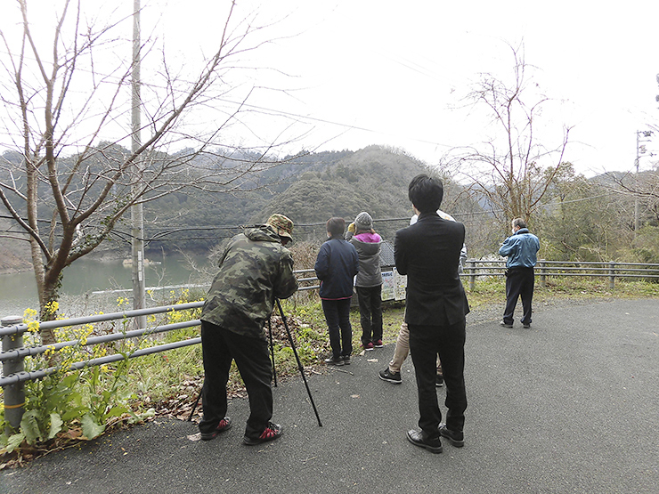 【令和6年度 おしどりウォッチングin肱川 愛媛/大洲市】 美しいおしどりたちが待つ肱川の湖へ出かけよう！