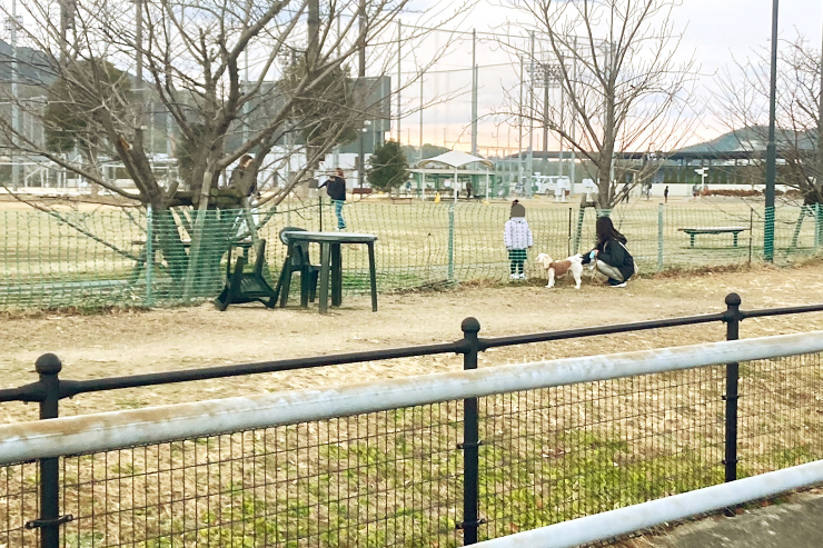 広大な敷地で鬼ごっこも缶けりもできる! 大新田公園に行ってきました! 【愛媛/今治市】