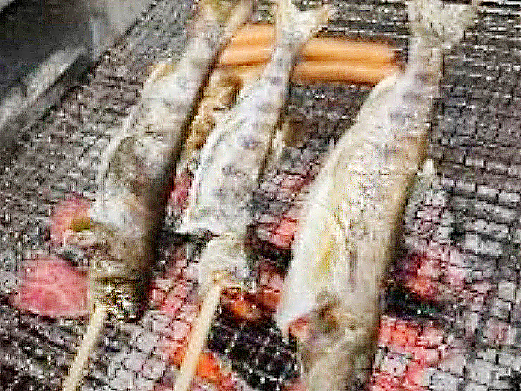 【渓流つり大会 愛媛/大洲市】 親子揃って楽しめるつり大会