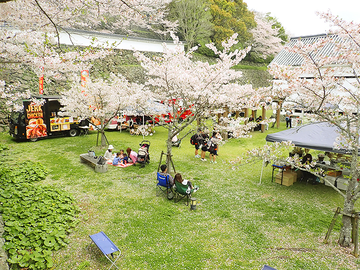 【第77回 観光さくらまつり 愛媛/大洲市】 城山公園・冨士山公園・八多喜祇園公園を巡る春の旅