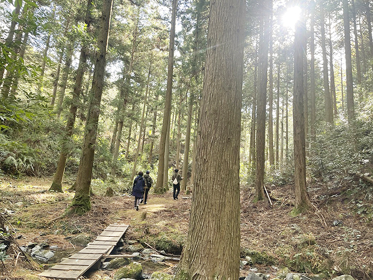 【予土まち散走ツアー（鬼北編） 愛媛/鬼北町】 絶景といちご狩りを楽しむハイキング＆サイクリング