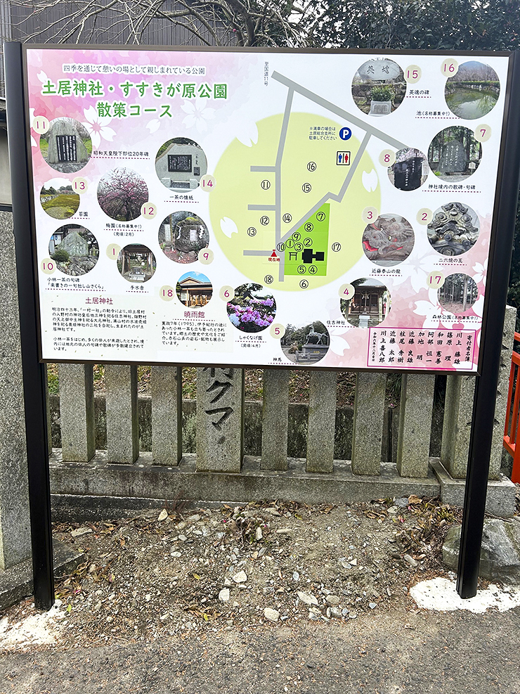 【すすきヶ原入野公園 春まつり2025 愛媛/四国中央市】 桜の名所でのんびり春時間