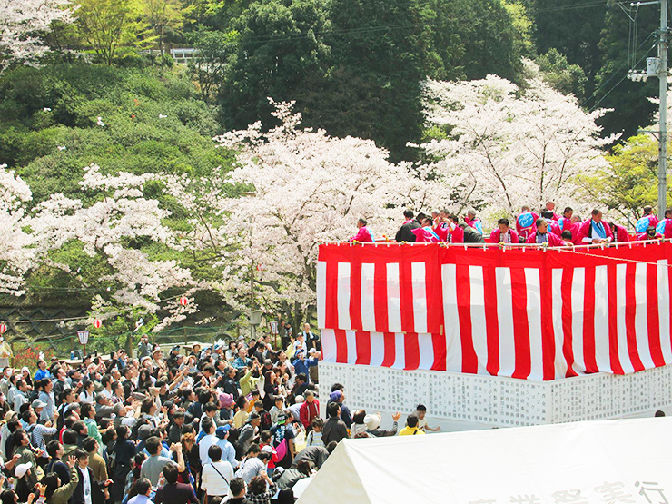 【三島公園桜まつり2025 愛媛/四国中央市】 瀬戸内海の絶景と一緒に楽しむ春の賑わい