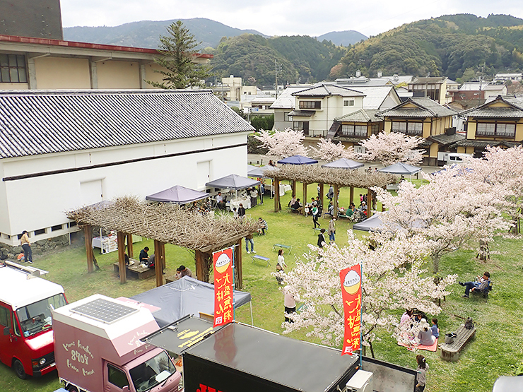 【第77回 観光さくらまつり 愛媛/大洲市】 城山公園・冨士山公園・八多喜祇園公園を巡る春の旅