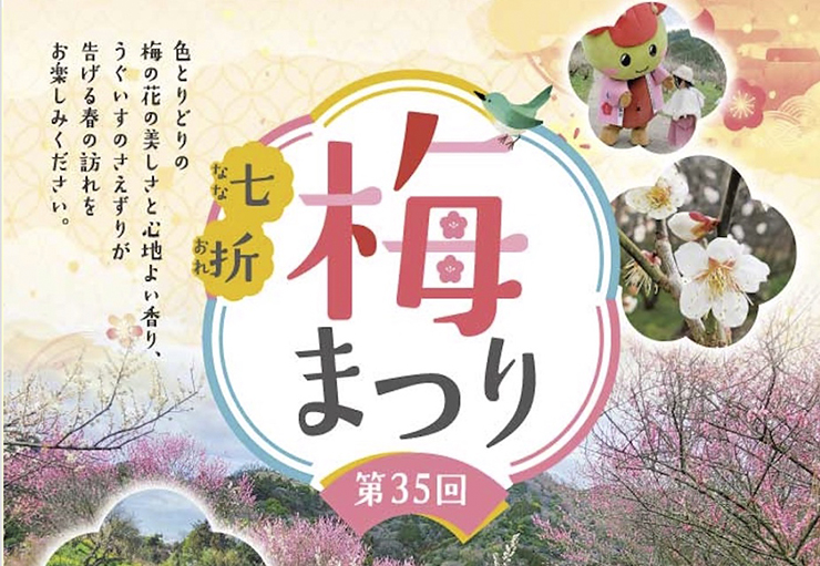 【第35回 七折梅まつり 愛媛/砥部町】 今年も七折梅まつりの季節が到来