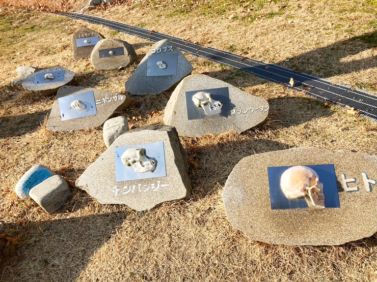 大自然の中にある巨大な公園! しまなみアースランドで遊んできました! 【愛媛/今治市】