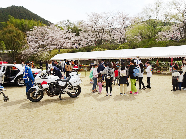 【宇和運動公園桜まつり 愛媛/西予市】 お腹も心も大満足！ 地元愛溢れるお祭りで春を満喫